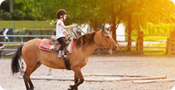 horse ridding